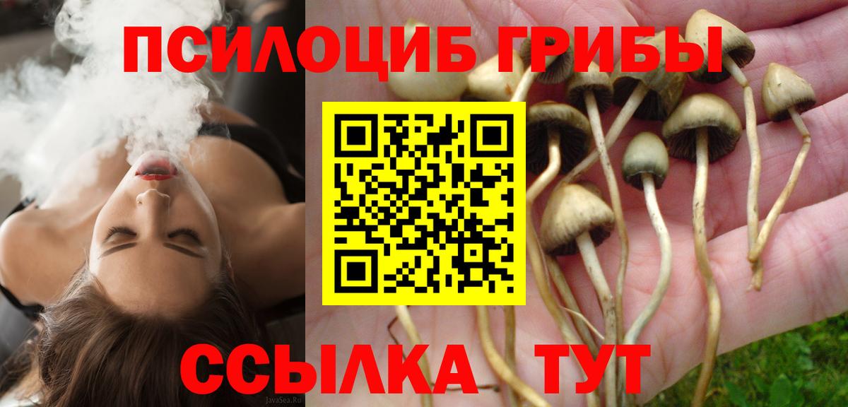 Лабинск  Галлюциногенные грибы MAGIC MUSHROOMS  Вход с VPN 